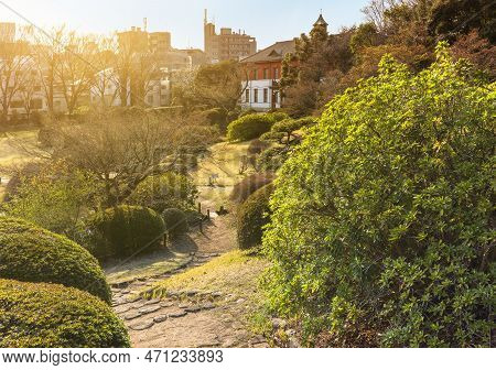 Tokyo, Japan - March 20 2022: Stone Stairs In The Japanese Garden Of The Koishikawa Botanical Garden