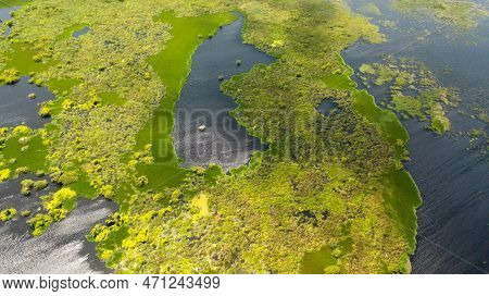 Lake Or Swamp With Tropical Vegetation And Aquatic Plants. Kumana National Park, Sri Lanka.