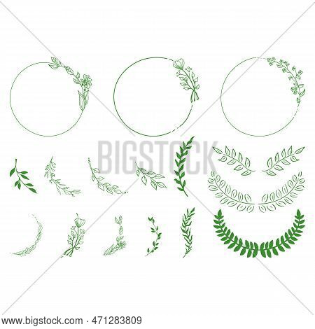 Branches Vector Images. Set Of Hand Drawn Silhouette