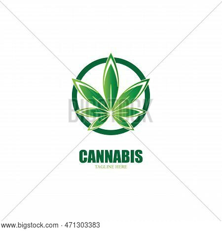 Cannabis Marijuana Leaf Icon Vector Logo Design