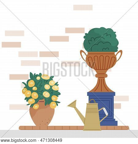 Indoor Garden Plants And Fresh Flowers In Pot And Watering Can Isolated On White. House Growing Pott