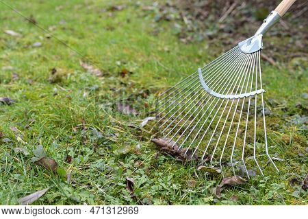 Removing Brown Leaves From The Meadow With A Metal Leaf Rake, Spring Cleaning In The Garden And Yard