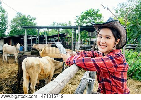 Portrait Asian Farmer Veterinarian Working The Cattle Area In A Rural Cowshed Holding Tablet Taking 