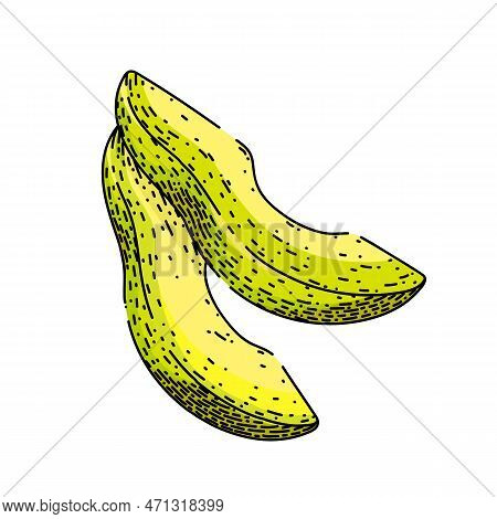 Avocado Green Sketch Hand Drawn Vector Illustration