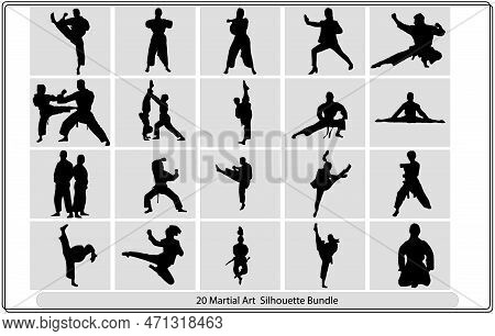 Martial Poses Vactor , Karate Art Illustrator Set