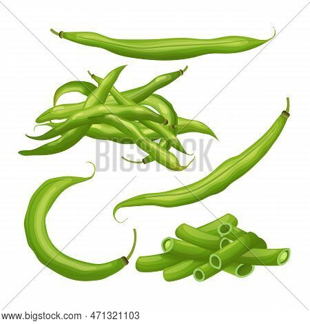 Green Bean Set Cartoon Vector Illustration Color Sign