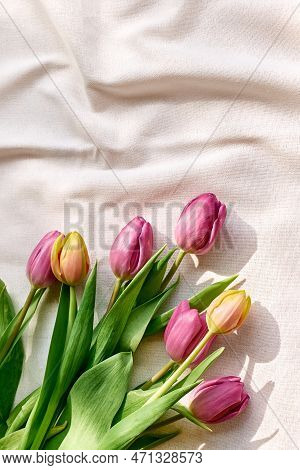 Colorful Tulips On Linen Fabric. Yellow, Pink, Magenta, Fuchsia Tulips On Wrinkled Coton Of Champagn