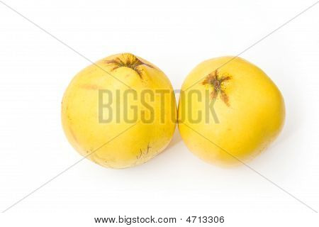 Kvitten frukt
