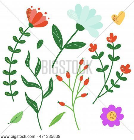 A Set Of Twigs And Flowers For Decoration. Vector Illustration Of Stylized Plants In Cartoon Style. 