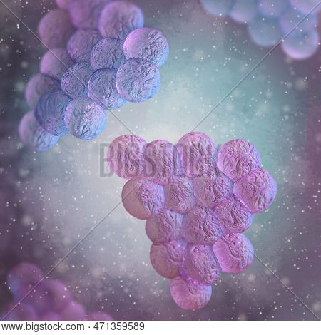 Medical Background, Staphylococcus Bacteria Gram-positive Aerobic Microorganisms, Cause Skin Infecti