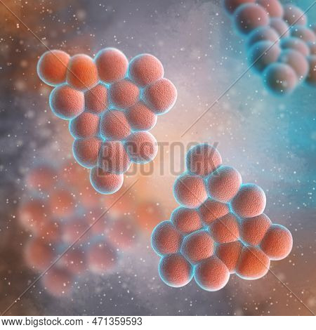 Medical Background, Staphylococcus Bacteria Gram-positive Aerobic Microorganisms, Cause Skin Infecti