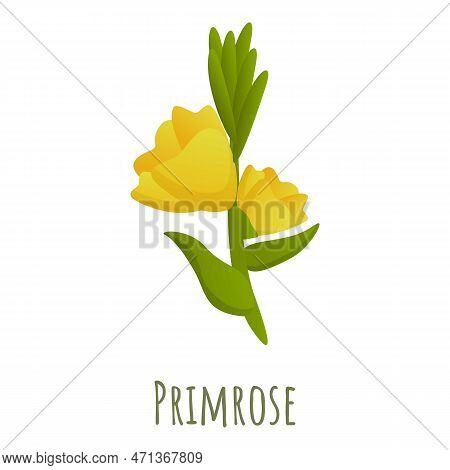 Primrose Flower Icon. Cartoon Of Primrose Flower Icon For Web Design Isolated On White Background