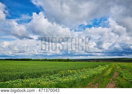Summer Rural Landscape A Panorama With A Field And The Blue Sky.