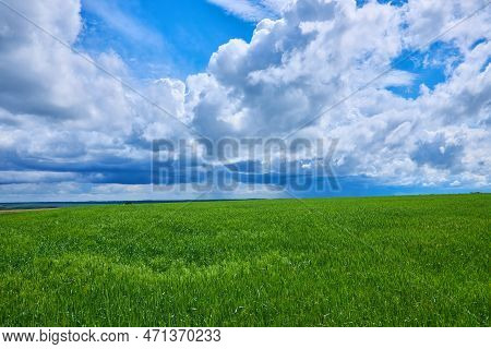 Gloomy Storm Clouds Over A Wheat Field