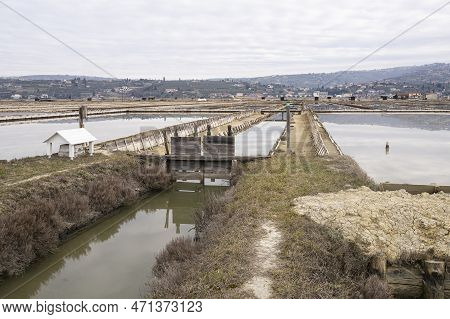 Winter Panoramic View Of Marine Pools In Secovlje Salt Pan, Slovenia