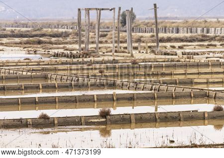 Winter Panoramic View Of Marine Pools In Secovlje Salt Pan, Slovenia