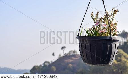 Early Morning View Of Modern Rooftop Restaurant At Kasauli, Himachal Pradesh In India, View Of Mount