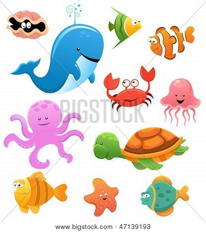 Sea Animals