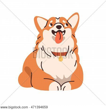 Cute Corgi Breed Dog. Obedient Canine Animal, Pup. Purebred Funny Puppy Lying And Waiting With Obedi