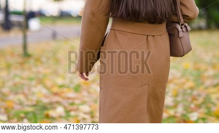 Waist Of A Girl In A Brown Coat. Back View Woman Walking In The Autumn Park. High Quality Photo