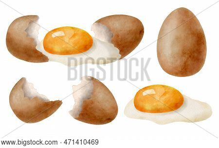 Watercolor Eggs Set. Hand Drawn Brown Egg, Broken Egg With Yolk And Glair And Eggshell Illustrations