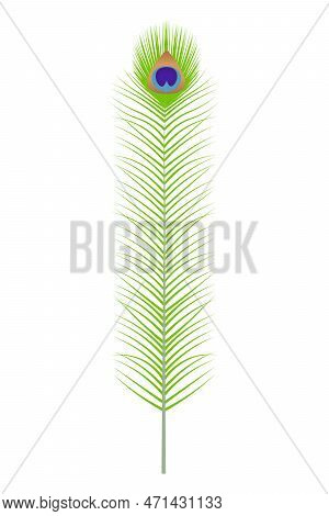 It Is A Peacock Feather Vector. Clean & Modern Design, Editable Colour & Well Organized & Easy To Ed