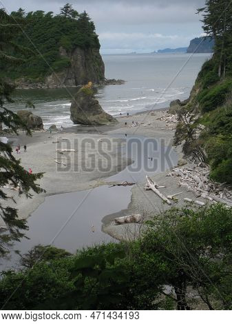 Hiking In Olympic National Park - Kalaloch Beach 1 View