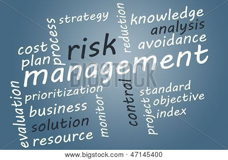 Risk yönetimi
