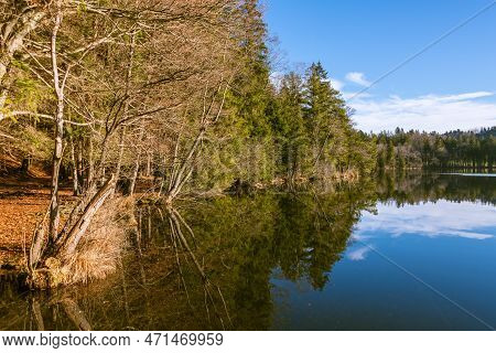 Strolling At Lake Tuettensee On A Sunny Winter Day
