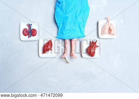 Doll Covered With A Blue Surgical Glove And Trays Of Toy Human Organs. Visual Aid For Discussing Pos