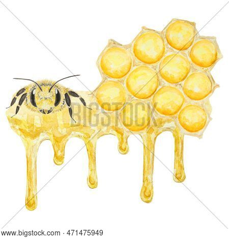 Watercolor Hand Drawn Bee Isolated On White Background