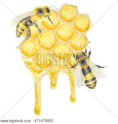 Watercolor Hand Drawn Bee Isolated On White Background