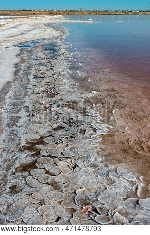 Crystals Of Self-sedimentary Salt In The Form Of Rounded Formations In The Hypersaline Kuyalnitsky E