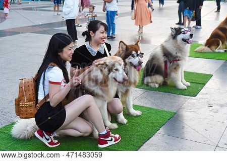 Da Lat, Vietnam - 10 February 2023: Popular Dogs Models In Glasses Sitting In The Lam Vien Square Ev