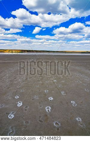 Footprints On The Dried Bottom Of The Kuyalnitsky Estuary, Covered With A Layer Of Self-precipitatin