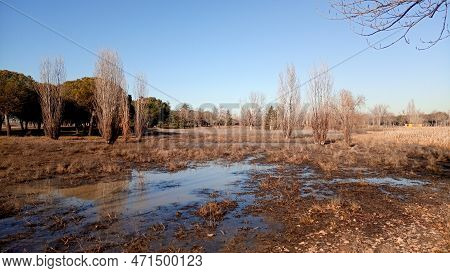 Walking In Polvoranca Lake, In Leganes, Madrid