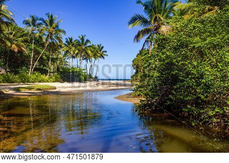 Coconut Trees, Stream And Sand At Sao Jose Beach