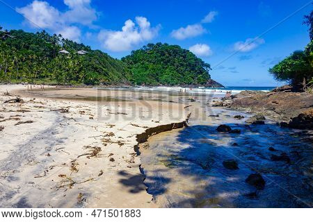 Forest And  Waves At Sao Jose Beach