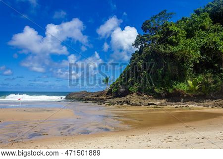 Forest And  Waves At Sao Jose Beach