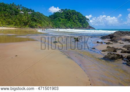 Forest And  Waves At Sao Jose Beach