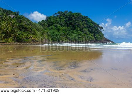 Forest And  Waves At Sao Jose Beach