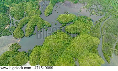 Top View Of Tropical Islands And Bays. Seascape With Lagoons And Cove. Sipalay, Negros, Philippines.