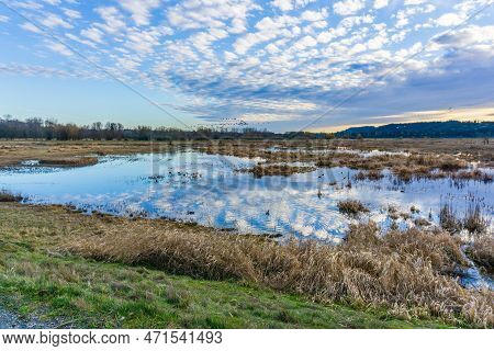 Clouds In The Sky Over The Nisqually Wetalnds Are Reflected In The Water. In Washington State.