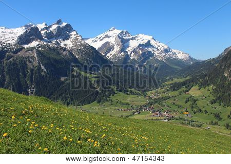 Snow Capped Mountains e prato verde pieno di fiori gialli