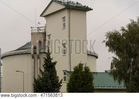Buildings Of The Municipal Wastewater Treatment Plant Against A Gray, Cloudy Sky . Black Birds (rook