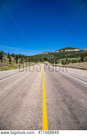 Bighorn National Forrest In Wyoming On Highway 16 With Limber Pine (pinus Flexilis) Growing In The R
