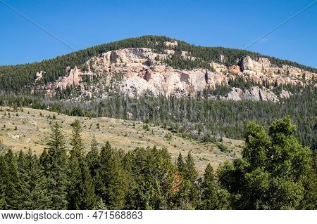 Bighorn National Forrest In Wyoming With Limber Pine (pinus Flexilis) Growing In The Rocky Cliffs, H