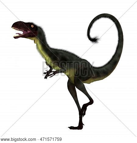 Dilong Feathered Dinosaur 3d Illustration - Dilong Was A Carnivorous Small Feathered Theropod Dinosa