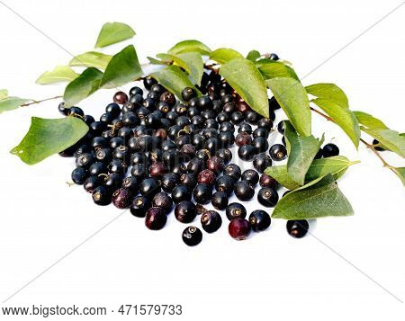 Jakal Jujube Berries With Leaf On White Background. Selective Focused.