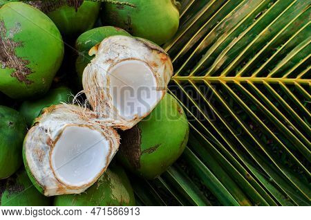 Young Fresh Sweet Thai Coconut Fruits With White Meat Put On Its Green Leaves For Summer Fruit Conce